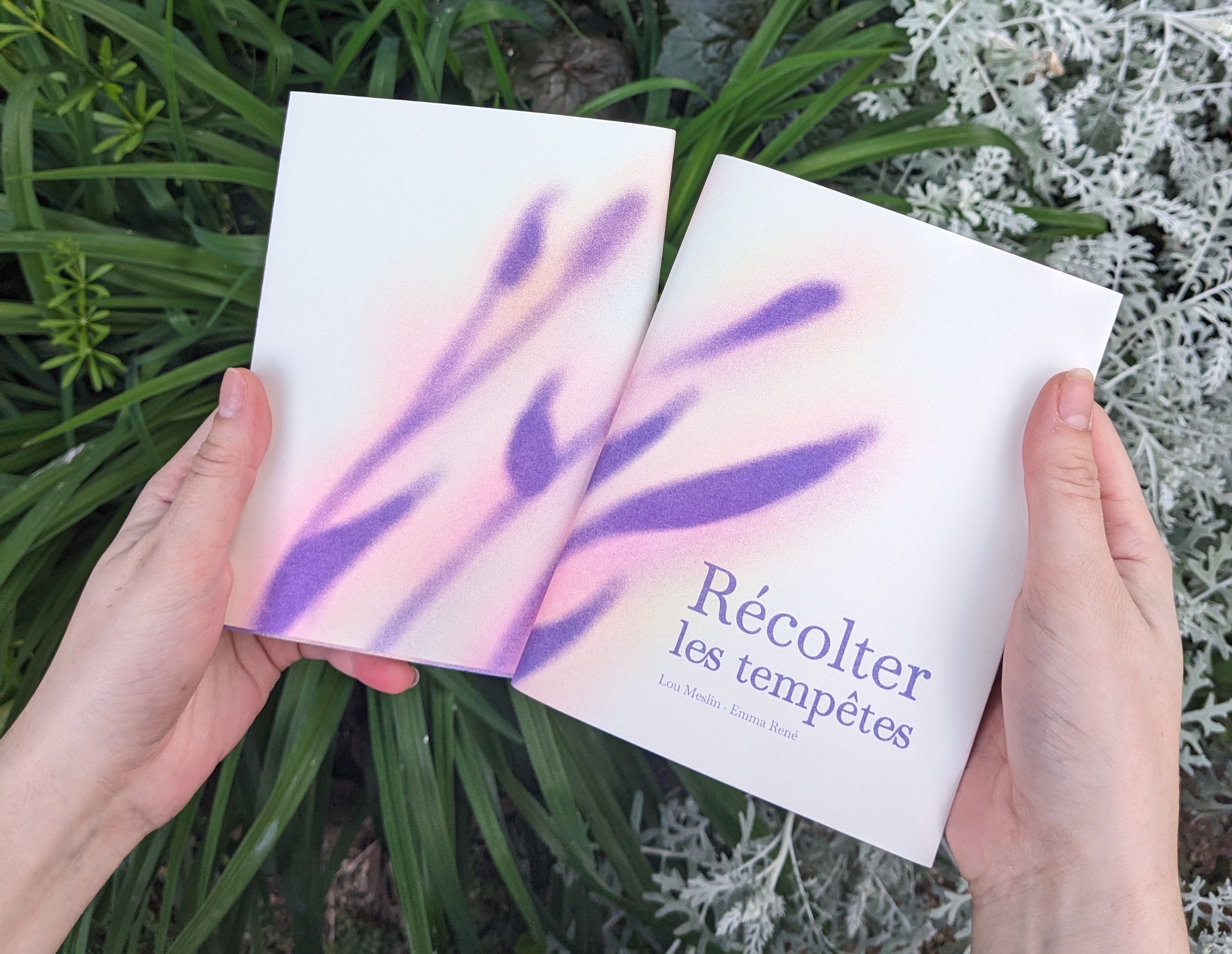 Récolter les tempêtes