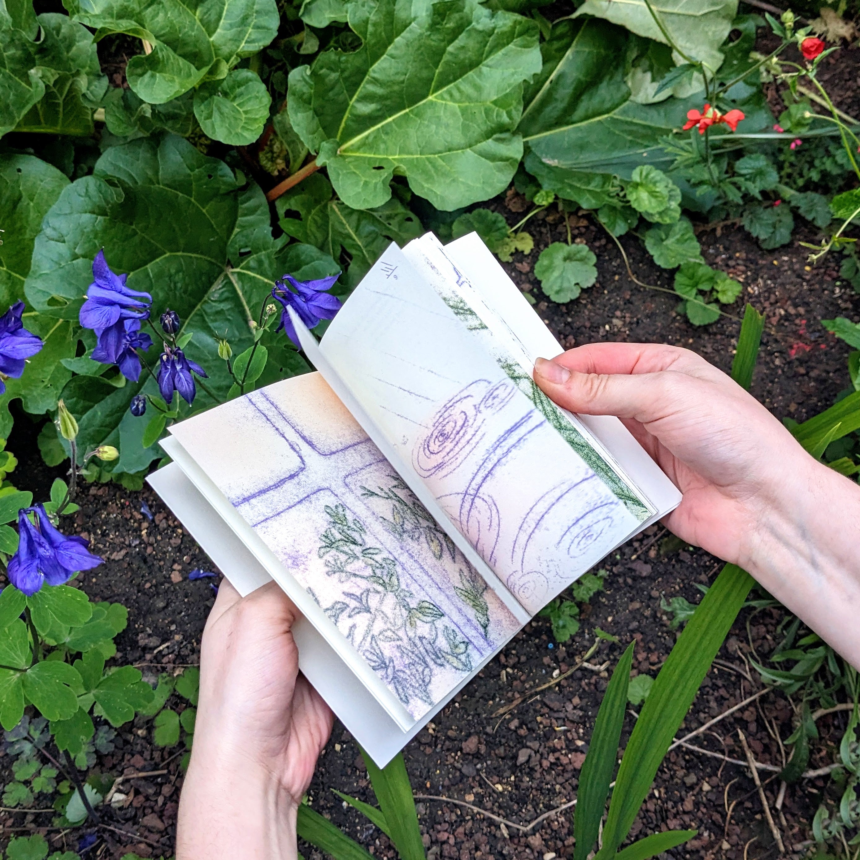 Récolter les tempêtes