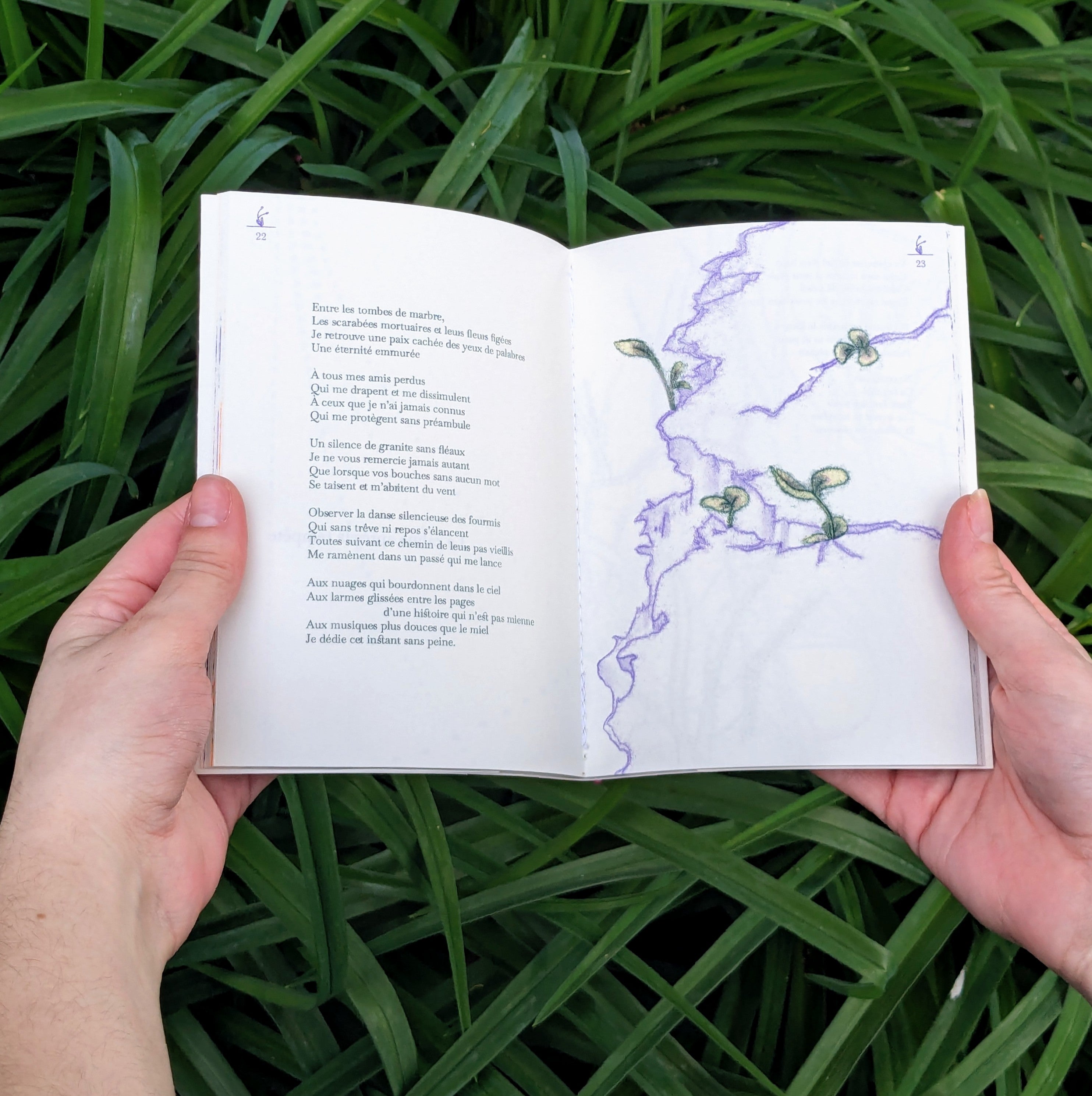 Récolter les tempêtes