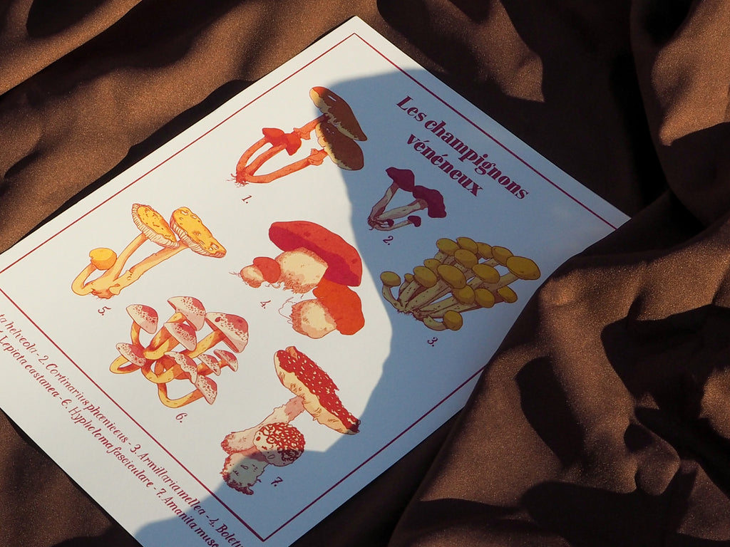Les champignons vénéneux