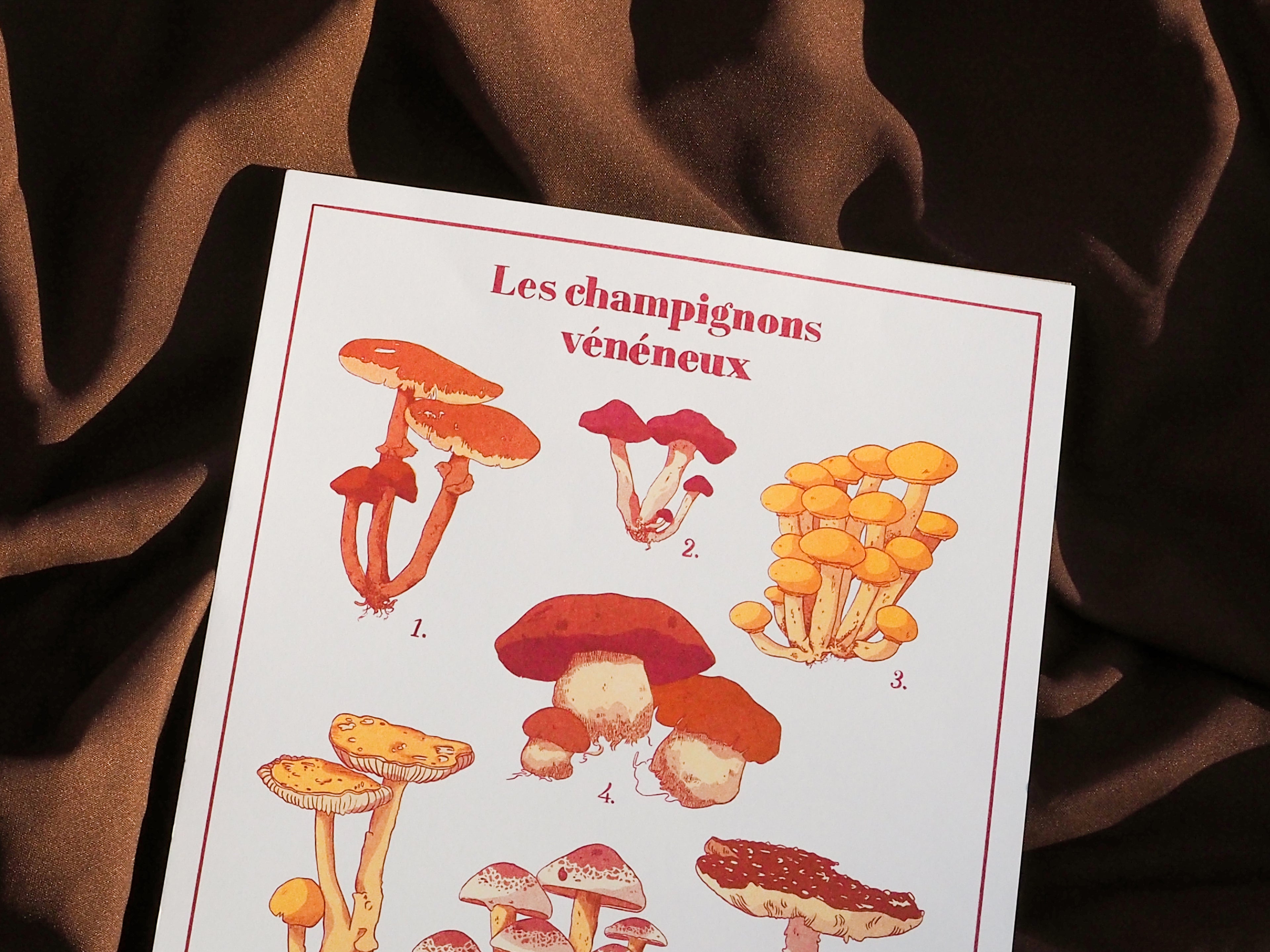 Les champignons vénéneux