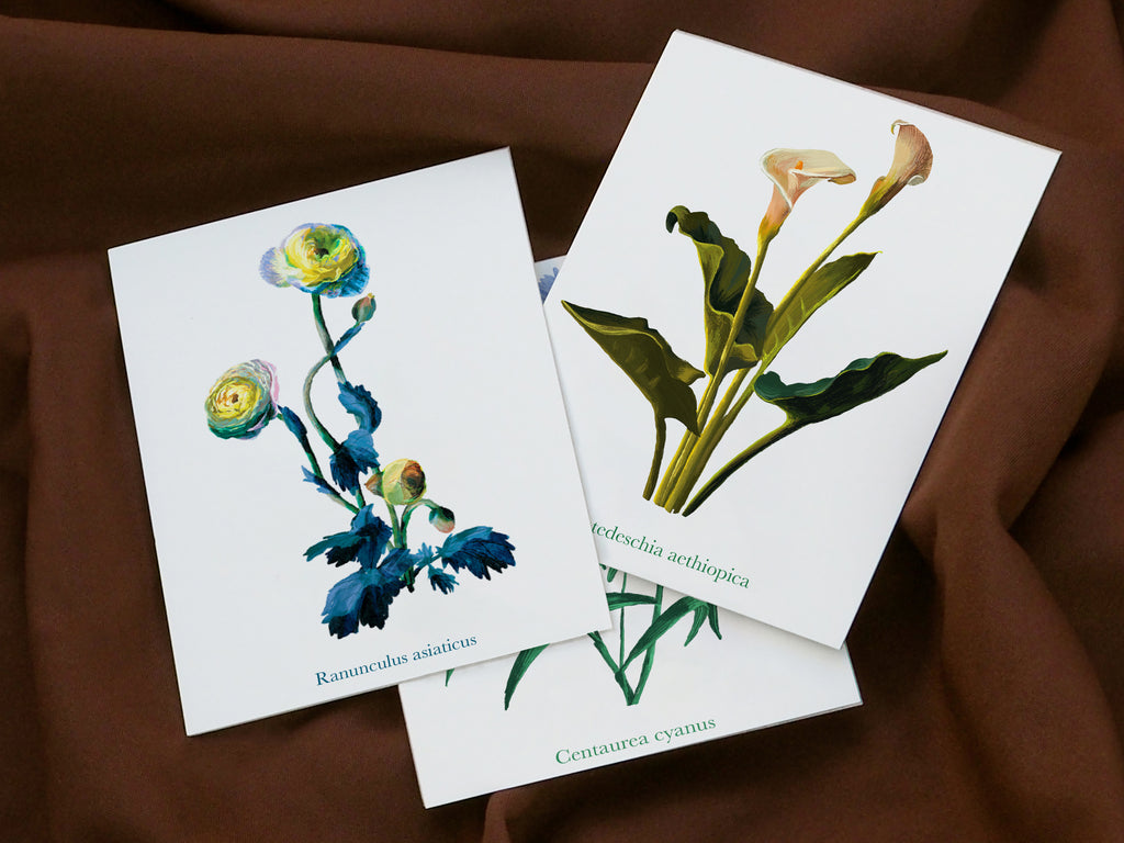 Études florales (lot)