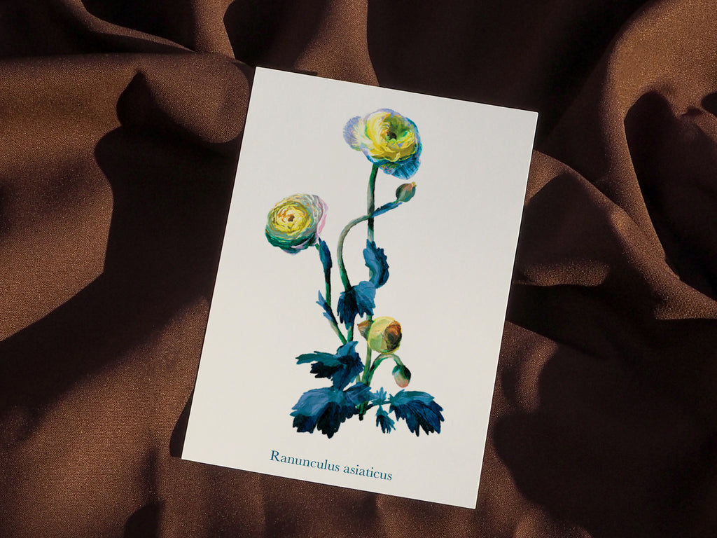 Études florales (lot)