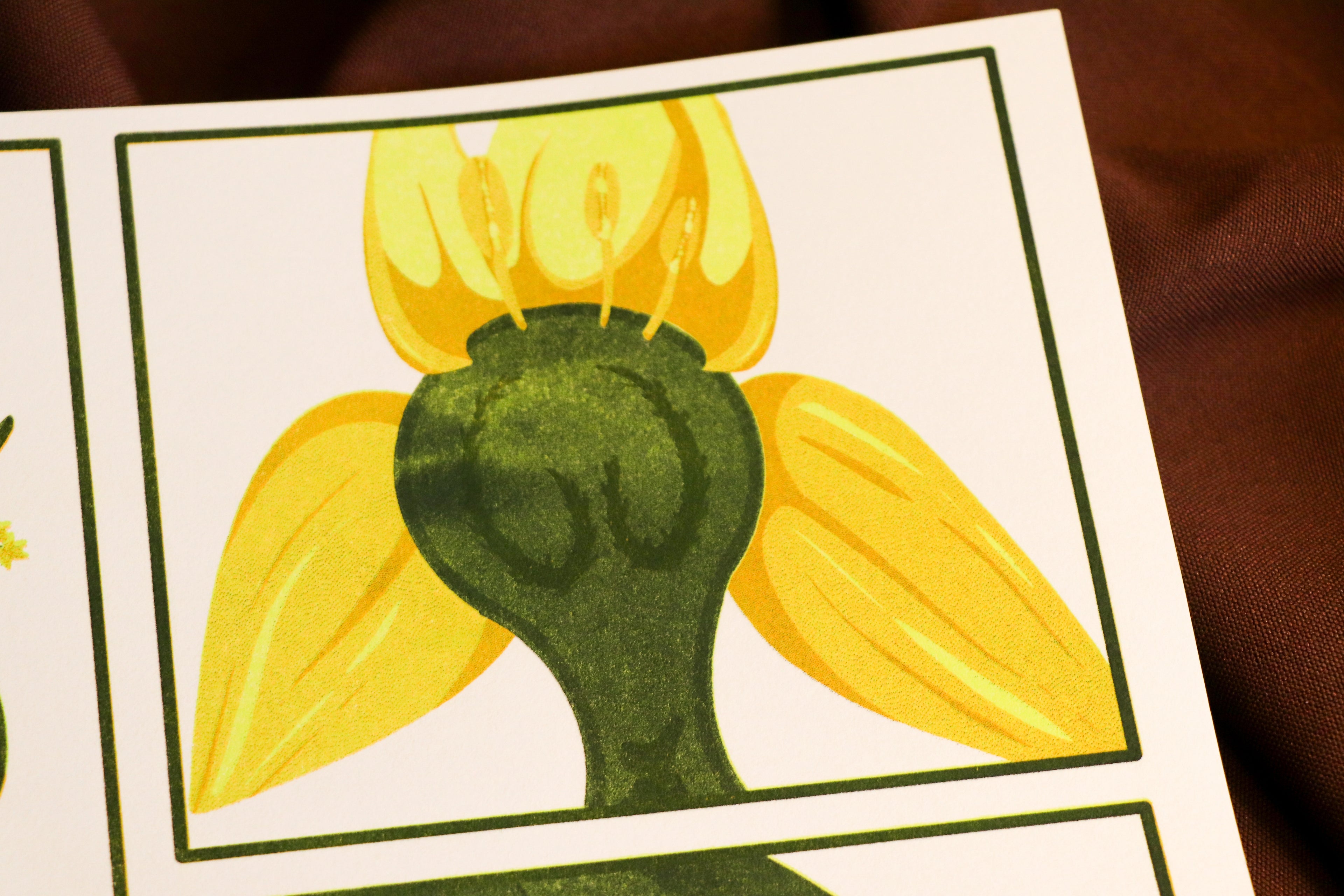 Pastel des teinturiers