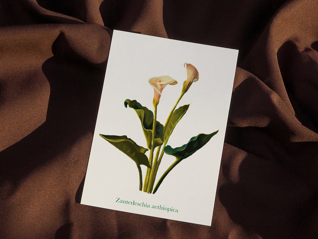 Étude florale